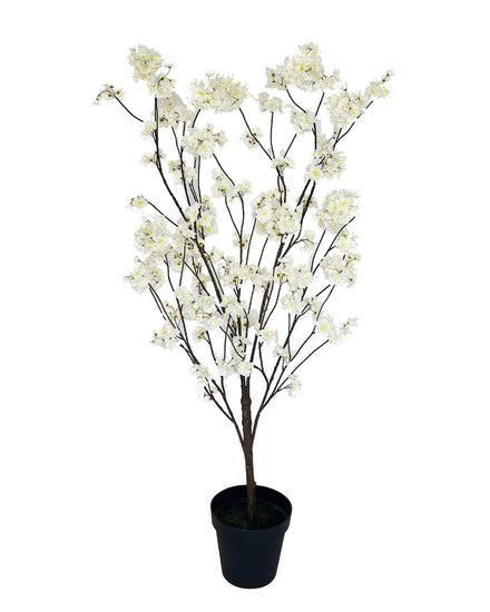 Bloesemboom Wit (176cm) 1